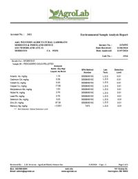 Heavy Metal Analysis